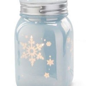 Winter Frost Scentsy Warmer
